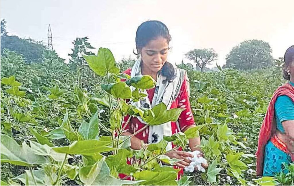 అక్షర న్యూస్ : డాక్టర్‌ సీటొచ్చినా.. కూలి పనికెళ్తున్న బిసి బిడ్డ..